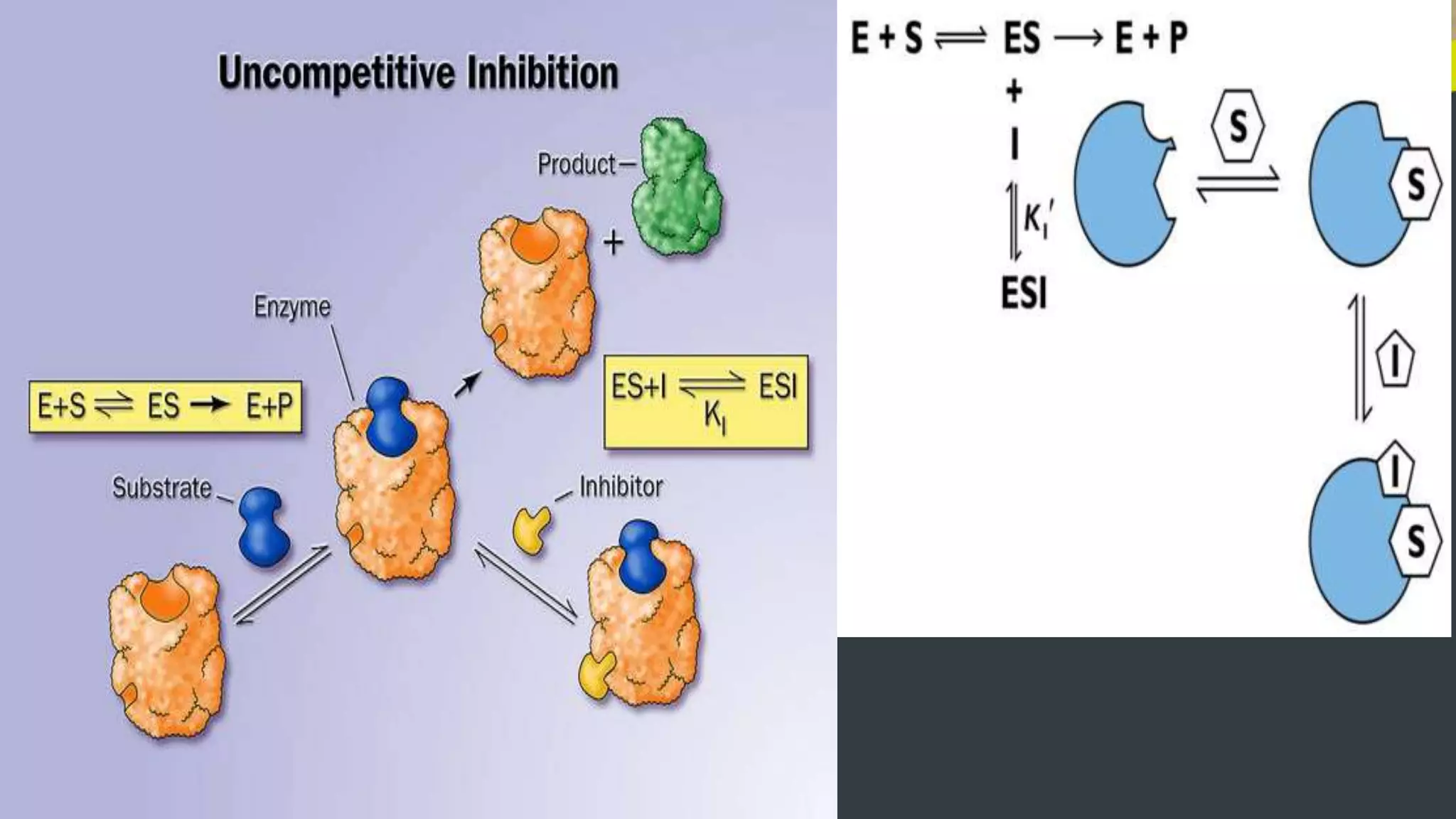 Enzyme inhibition - Competitive, Non- Competitive, Uncompetitive ...