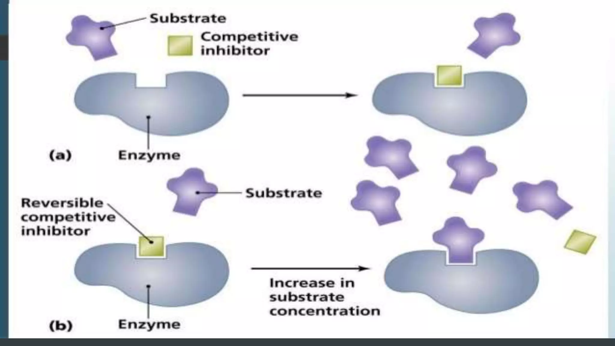 Enzyme inhibition Competitive, Non Competitive,