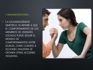 FUNDAMENTACIONES:.
• LA ESQUISMOGÉNESIS
SIMÉTRICA: SE REFIERE A QUE
EL COMPORTAMIENTO DE LOS
MIEMBROS DE UNIDADES
SOCIALES PUEDE SEGUIR EL
MODELO DE
COMPORTAMIENTOS ENTRE
IGUALES, COMO CUANDO A
ACCIONES VIOLENTAS SE
OPONEN OTRAS ACCIONES
VIOLENTAS.
 