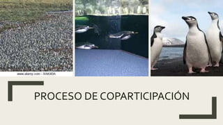 PROCESO DE COPARTICIPACIÓN
 