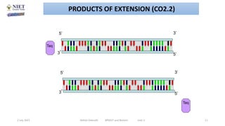 3’
5’
3’ 5’
3’
5’
3’ 5’
Taq
Taq
2 July 2021 Abhijit Debnath BP605T and Biotech Unit-2 11
PRODUCTS OF EXTENSION (CO2.2)
 