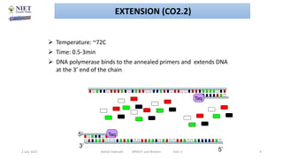  Temperature: ~72C
 Time: 0.5-3min
 DNA polymerase binds to the annealed primers and extends DNA
at the 3’ end of the chain
Taq
5’
3’
Taq
5’
2 July 2021 Abhijit Debnath BP605T and Biotech Unit-2 9
EXTENSION (CO2.2)
 
