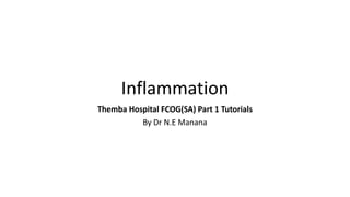 Inflammation
Themba Hospital FCOG(SA) Part 1 Tutorials
By Dr N.E Manana
 
