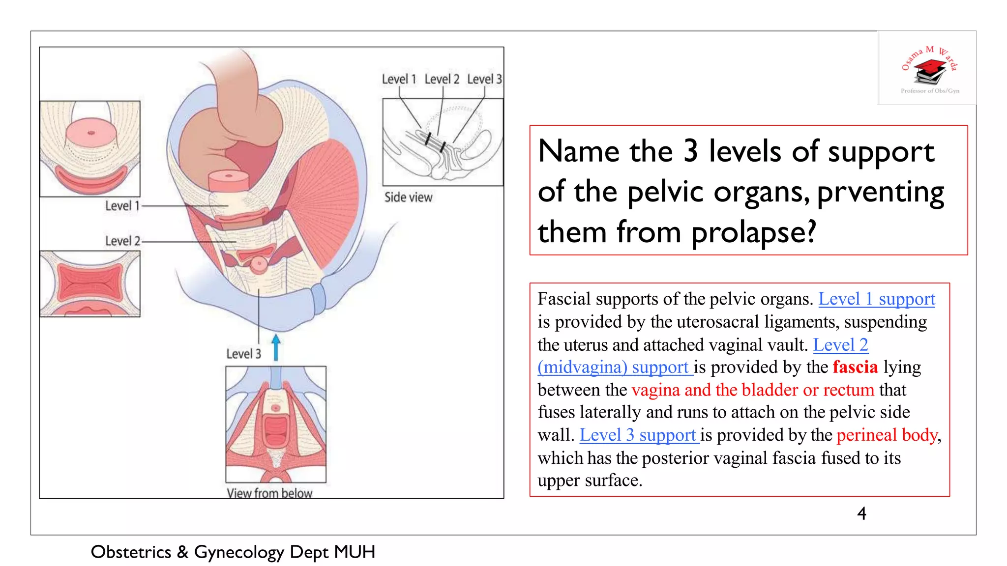 4.OBSTETRICS&GYNECOLOGY REVISION-4 | PDF