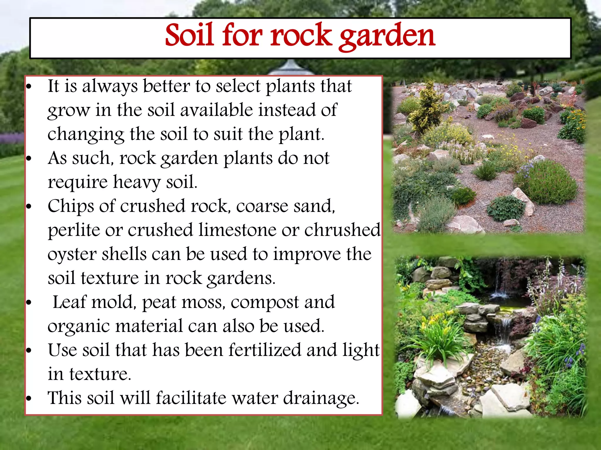 Soil for rock garden
• It is always better to select plants that
grow in the soil available instead of
changing the soil to suit the plant.
• As such, rock garden plants do not
require heavy soil.
• Chips of crushed rock, coarse sand,
perlite or crushed limestone or chrushed
oyster shells can be used to improve the
soil texture in rock gardens.
• Leaf mold, peat moss, compost and
organic material can also be used.
• Use soil that has been fertilized and light
in texture.
• This soil will facilitate water drainage.
 