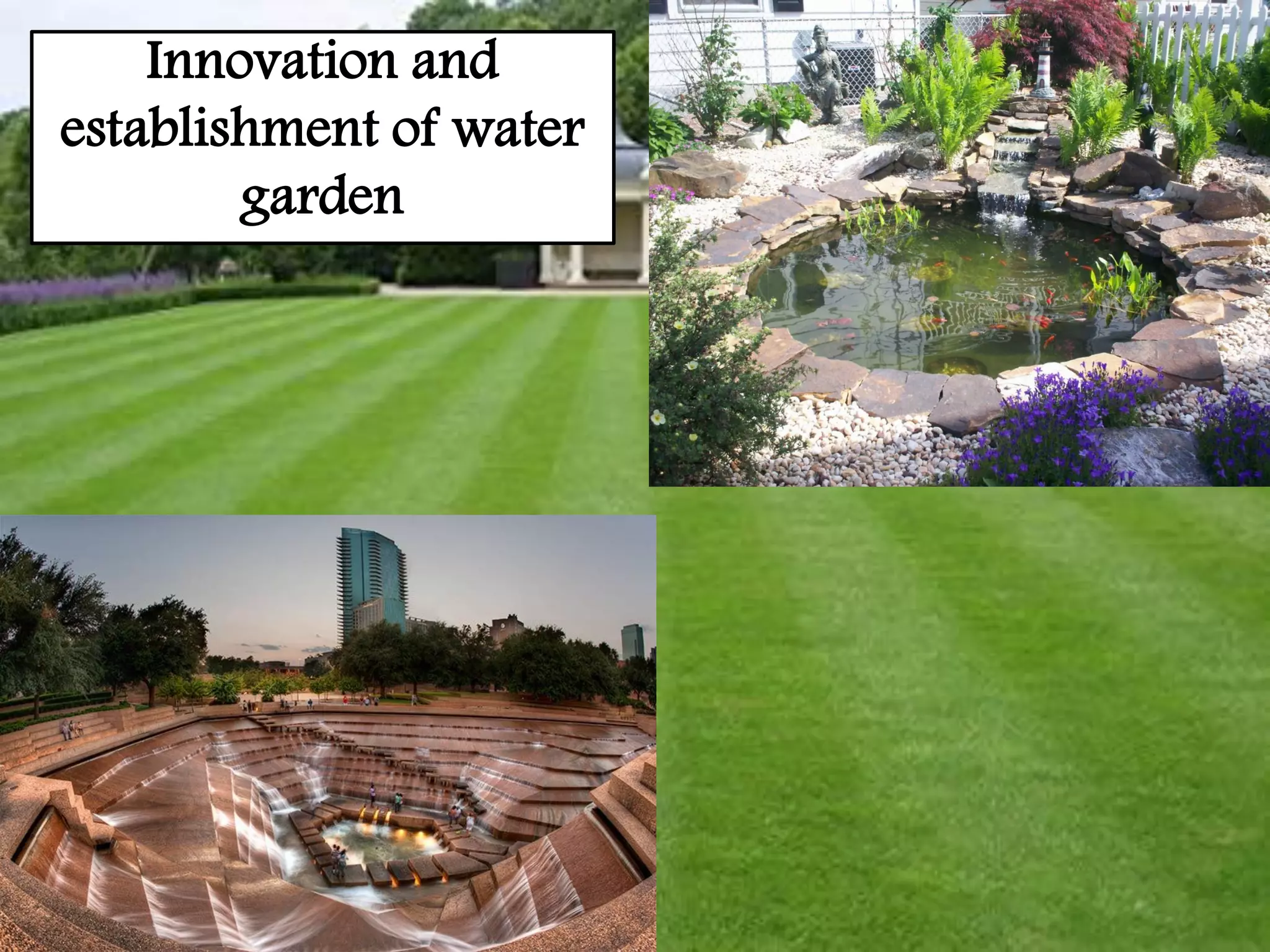 Innovation and
establishment of water
garden
 