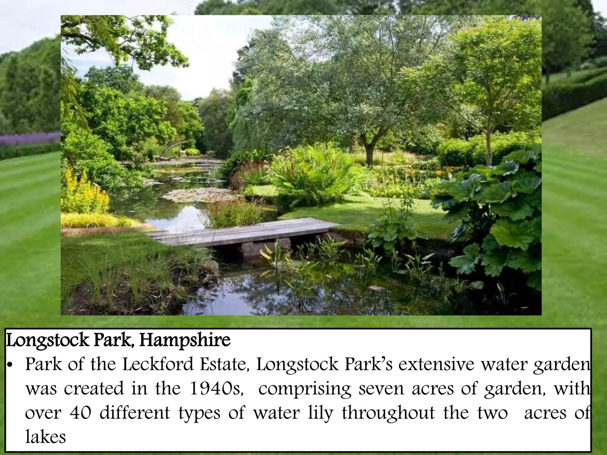 Longstock Park, Hampshire
• Park of the Leckford Estate, Longstock Park’s extensive water garden
was created in the 1940s, comprising seven acres of garden, with
over 40 different types of water lily throughout the two acres of
lakes
 