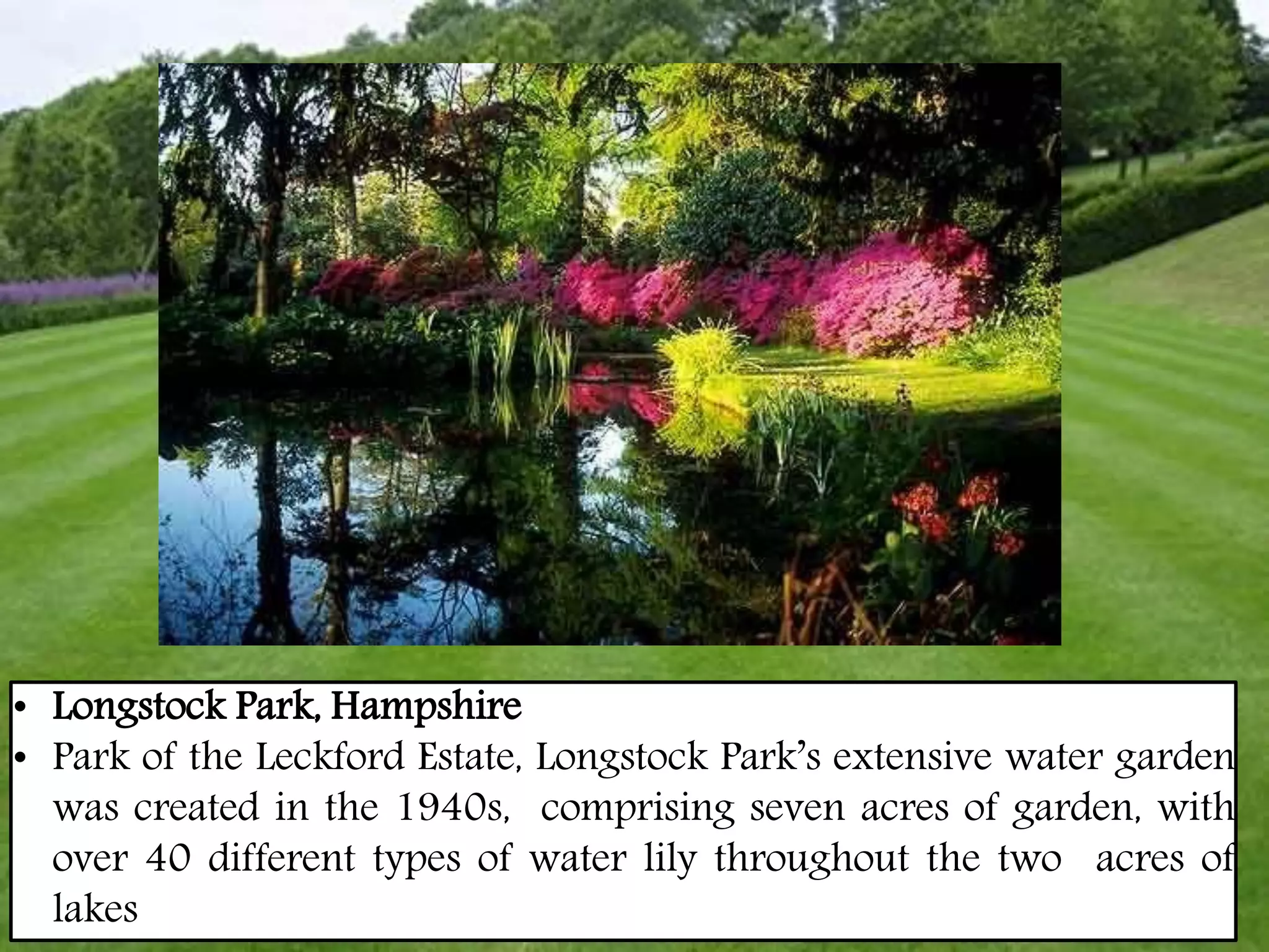 • Longstock Park, Hampshire
• Park of the Leckford Estate, Longstock Park’s extensive water garden
was created in the 1940s, comprising seven acres of garden, with
over 40 different types of water lily throughout the two acres of
lakes
 