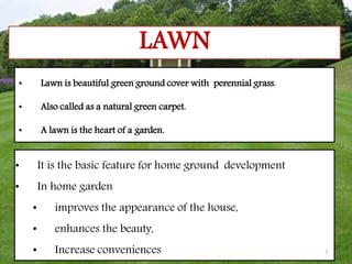 maintenance of a lawn