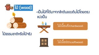 ไม้ธรรมชำติหรือไม้จริง
ไม้ (wood)
-เป็นไม้ที่ได้มำจำกลำต้นของต้นไม้โดยตรง
แบ่งเป็น
ไม้เนื้อแข็ง(hardwood)
ไม้เนื้ออ่อน(softwood)
 