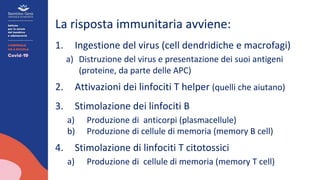 La risposta immunitaria avviene:
1. Ingestione del virus (cell dendridiche e macrofagi)
a) Distruzione del virus e presentazione dei suoi antigeni
(proteine, da parte delle APC)
2. Attivazioni dei linfociti T helper (quelli che aiutano)
3. Stimolazione dei linfociti B
a) Produzione di anticorpi (plasmacellule)
b) Produzione di cellule di memoria (memory B cell)
4. Stimolazione di linfociti T citotossici
a) Produzione di cellule di memoria (memory T cell)
 