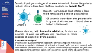 Quando il patogeno sfugge al sistema immunitario innato, l’organismo
mette in atto una terza linea di difesa, costituita dai linfociti B e T.
Linfocita B Linfocita T
I linfociti T comunicano con I linfociti B con il
fine di far rilasciare ai linfociti B gli anticorpi
Gli anticorpi sono delle armi potentissime
in grado di riconoscere i diversi virus e
batteri e di eliminarli
Questo sistema, detto immunità adattativa, fornisce un
arsenale di armi più raffinate che riconosce in modo
specifico gli antigeni di diversi patogeni
Che cos’è un antigene?
Un antigene è qualsiasi macromolecola che attiva una risposta immunitaria.
Il sistema immunitario distingue gli antigeni endogeni (self), che sono presenti sulle
nostre cellule (che non attivano una risposta immunitaria) dagli antigeni esogeni (non-
self), appartenenti a strutture esterne all’organismo e quindi anche ad agenti infettivi.
 