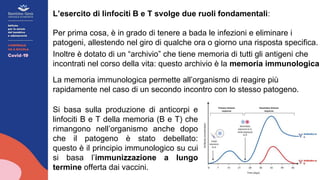 L’esercito di linfociti B e T svolge due ruoli fondamentali:
Per prima cosa, è in grado di tenere a bada le infezioni e eliminare i
patogeni, allestendo nel giro di qualche ora o giorno una risposta specifica.
Inoltre è dotato di un “archivio” che tiene memoria di tutti gli antigeni che
incontrati nel corso della vita: questo archivio è la memoria immunologica
La memoria immunologica permette all’organismo di reagire più
rapidamente nel caso di un secondo incontro con lo stesso patogeno.
Si basa sulla produzione di anticorpi e
linfociti B e T della memoria (B e T) che
rimangono nell’organismo anche dopo
che il patogeno è stato debellato:
questo è il principio immunologico su cui
si basa l’immunizzazione a lungo
termine offerta dai vaccini.
 