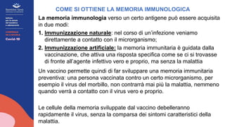 La memoria immunologia verso un certo antigene può essere acquisita
in due modi:
1. Immunizzazione naturale: nel corso di un’infezione veniamo
direttamente a contatto con il microrganismo;
2. Immunizzazione artificiale: la memoria immunitaria è guidata dalla
vaccinazione, che attiva una risposta specifica come se ci si trovasse
di fronte all’agente infettivo vero e proprio, ma senza la malattia
Un vaccino permette quindi di far sviluppare una memoria immunitaria
preventiva: una persona vaccinata contro un certo microrganismo, per
esempio il virus del morbillo, non contrarrà mai più la malattia, nemmeno
quando verrà a contatto con il virus vero e proprio.
Le cellule della memoria sviluppate dal vaccino debelleranno
rapidamente il virus, senza la comparsa dei sintomi caratteristici della
malattia.
COME SI OTTIENE LA MEMORIA IMMUNOLOGICA
 