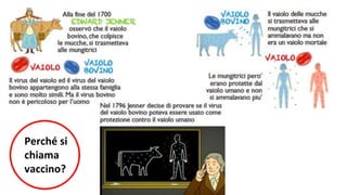Perché si
chiama
vaccino?
 