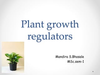 Plant growth
regulators
Mandira S.Bhosale
MSc.sem-1
 