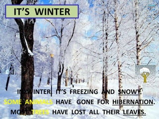 IN WINTER, IT’S FREEZING AND SNOWY.
SOME ANIMALS HAVE GONE FOR HIBERNATION.
MOST TREES HAVE LOST ALL THEIR LEAVES.
IT’S WINTER
 