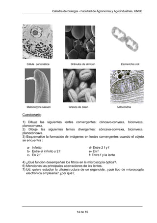 HQWUHRWURV
7RGRV HVWRV DSDUDWRV D SHVDU GH ORJUDU EXHQDV DPSOLILFDFLRQHV GDEDQ
LPiJHQHVPXGHIHFWXRVDVDFDXVDGHODVDEHUUDFLRQHVFURPiWLFDVHVIpULFDVDVt
PXFKRVLQYHVWLJDGRUHVYROYLHURQDOPLFURVFRSLRVLPSOH
(VWDVDEHUUDFLRQHVIXHURQFRUUHJLGDVJUDFLDVDODLQFRUSRUDFLyQGHOREMHWLYR
DSRFURPiWLFRSRUSDUWHGHOySWLFRORQGLQHQVH'ROODQG(VWHREMHWLYRFRQVLVWHHQGRV
OHQWHVVXSHUSXHVWDVXQDFRQYHUJHQWHRWUDGLYHUJHQWH'HVGHHVDpSRFDKDVWD
QXHVWURV GtDV HO PLFURVFRSLR FRPSXHVWR QR KD FHVDGR GH SHUIHFFLRQDUVH
LQFRUSRUiQGRVH QXHYRV DFFHVRULRV FRPR HO UHYyOYHU SRUWDREMHWLYRV OD YLVLyQ
ELQRFXODUHWF
 