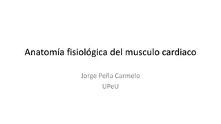 Anatomía fisiológica del musculo cardiaco
Jorge Peña Carmelo
UPeU
 