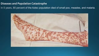 Diseases and Population Catastrophe
 