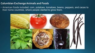 Columbian Exchange Animals and Foods
 