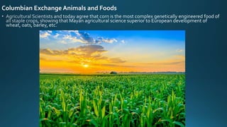 Columbian Exchange Animals and Foods
 