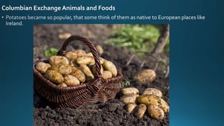Columbian Exchange Animals and Foods
 
