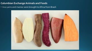 Columbian Exchange Animals and Foods
 