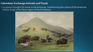 Columbian Exchange Animals and Foods
 