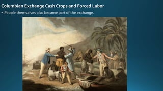 Columbian Exchange Cash Crops and Forced Labor
 