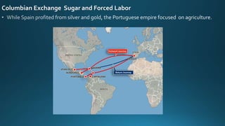 Columbian Exchange Sugar and Forced Labor
 