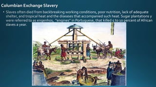Columbian Exchange Slavery
 
