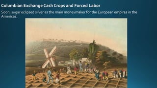 Columbian Exchange Cash Crops and Forced Labor
 