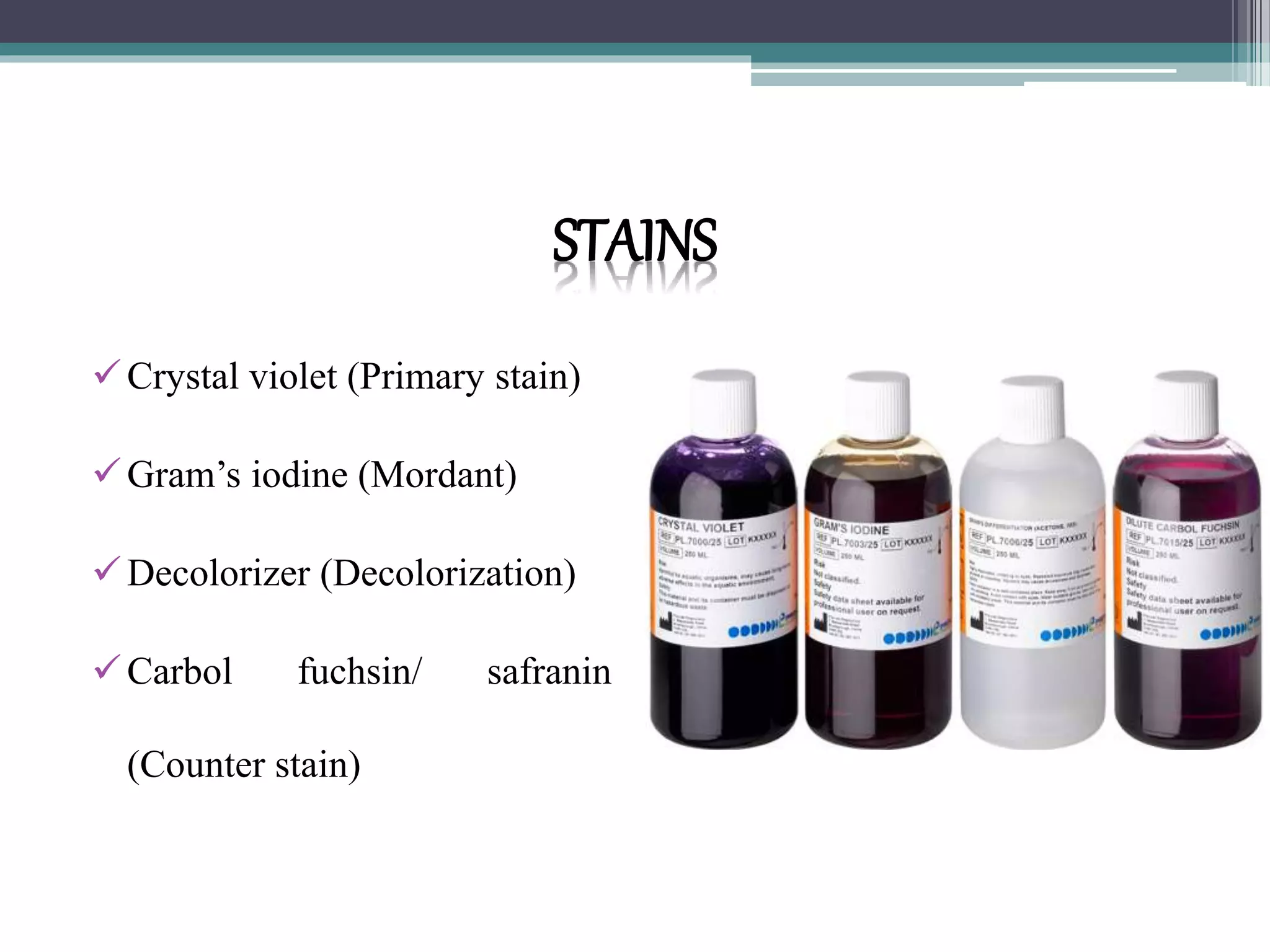 STAINS
Crystal violet (Primary stain)
Gram’s iodine (Mordant)
Decolorizer (Decolorization)
Carbol fuchsin/ safranin
(Counter stain)
 