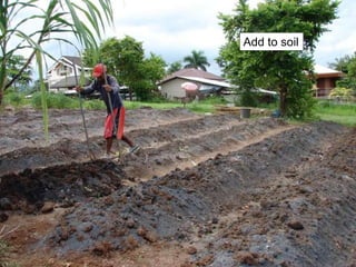 Add to soil
 