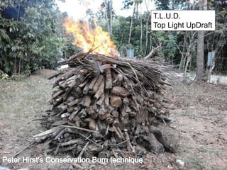 T.L.U.D.
Top Light UpDraft
 