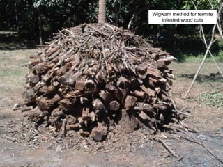 Wigwam method for termite
infested wood cuts
 