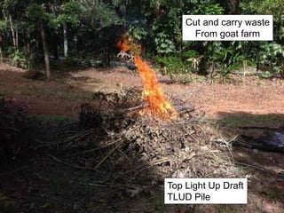 Top Light Up Draft
TLUD Pile
Cut and carry waste
From goat farm
 