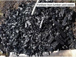 Fertilizer from lumber yard waste
 