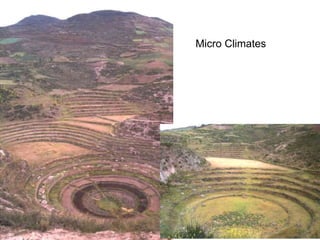 Micro Climates
 