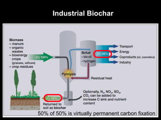 Industrial Biochar
50% of 50% is virtually permanent carbon fixation
 