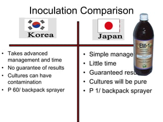 Inoculation Comparison
• Takes advanced
management and time
• No guarantee of results
• Cultures can have
contamination
• P 60/ backpack sprayer
• Simple management
• Little time
• Guaranteed results
• Cultures will be pure
• P 1/ backpack sprayer
 