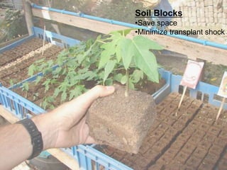 Soil Blocks
•Save space
•Minimize transplant shock
 