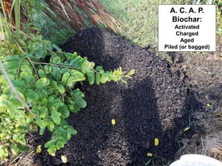 A. C. A. P.
Biochar:
Activated
Charged
Aged
Piled (or bagged)
 