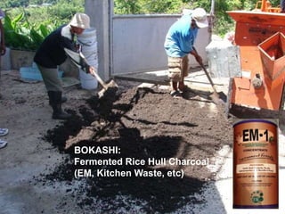 BOKASHI:
Fermented Rice Hull Charcoal
(EM, Kitchen Waste, etc)
 
