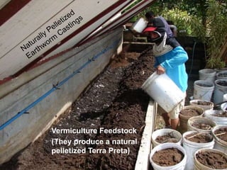 Vermiculture Feedstock
(They produce a natural
pelletized Terra Preta)
 