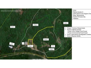 2016
Market Garden 6
Aloha Ranch and Organic Farm
Brgy. Macarascas
Puerto Princesa City
Palawan
Phase 1
Phase 2
Phase 3
Phase 4
Nebras
ka
Mi
ks
 Phase 1 Contour Raised beds
 Phase 2 Market Garden
Phase 3 Eco Village Food Forest
Phase 4 Commercial Food Forest
 Zone 4 Silviculture w/Integrated Livestoc
 Zone 5 Riparian Buffer
Zone 5
Zone 4
 