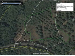 2004
Market Garden 6
Aloha Ranch and Organic Farm
Brgy. Macarascas
Puerto Princesa City
Palawan
 