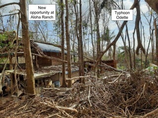 Typhoon
Odette
New
opportunity at
Aloha Ranch
 