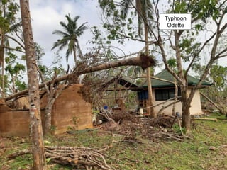Typhoon
Odette
 